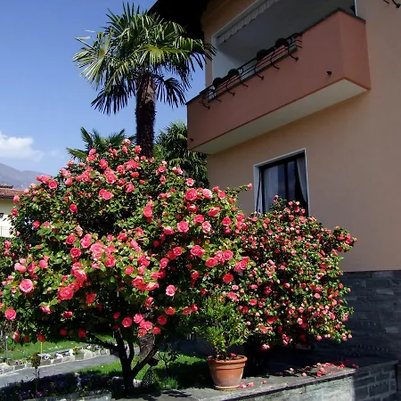 Casa Thuja Lejlighed