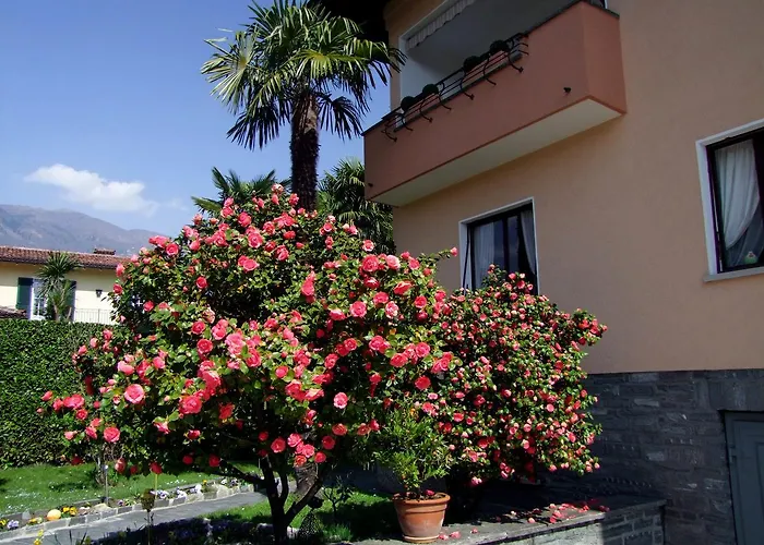 Casa Thuja Appartement