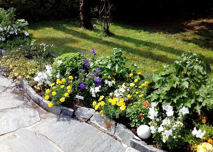 Casa Thuja Apartmán Ascona