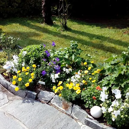 Casa Thuja Apartment Ascona